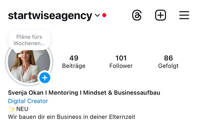 Instagram-Profil mit 101 Followern
